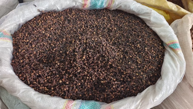 公丁香选货无硫调料中药材量大优惠