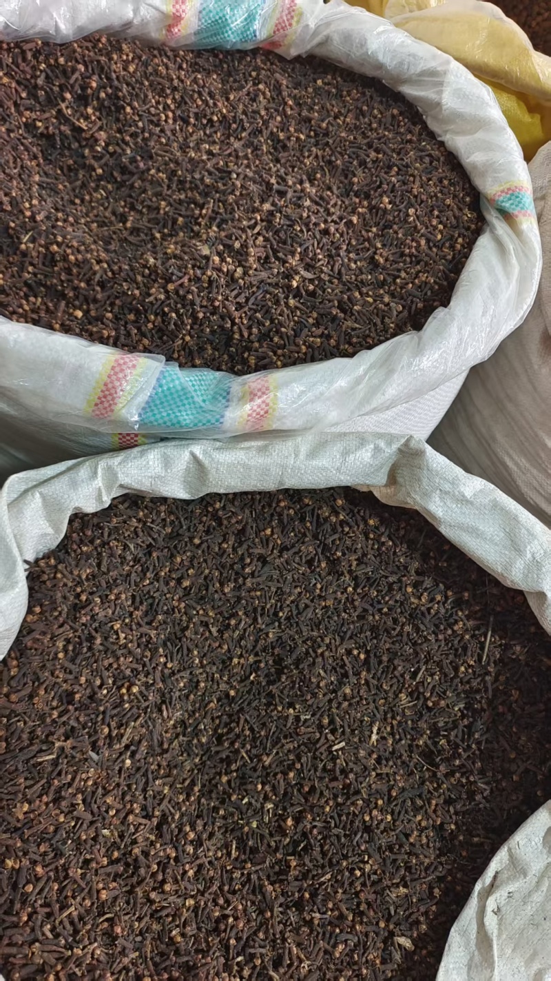公丁香选货无硫调料中药材量大优惠