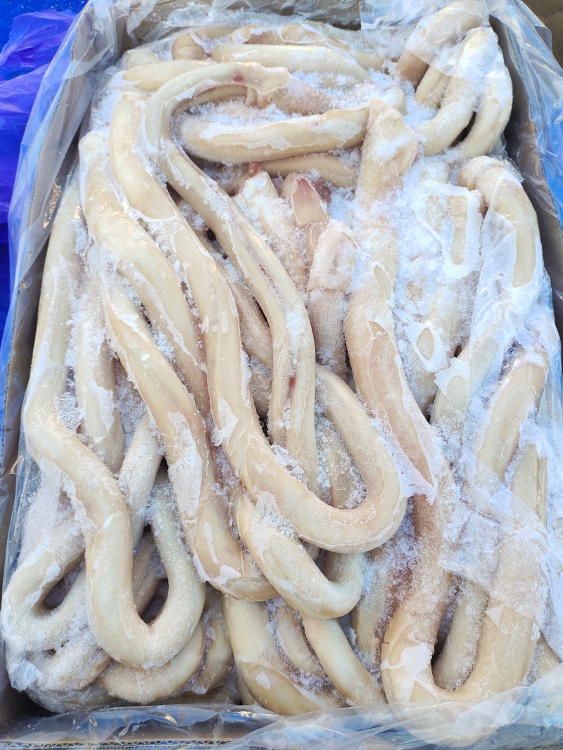 牛鞭，精修无油去鞭根，颜色新鲜，货干无冰水，熟食出成率高