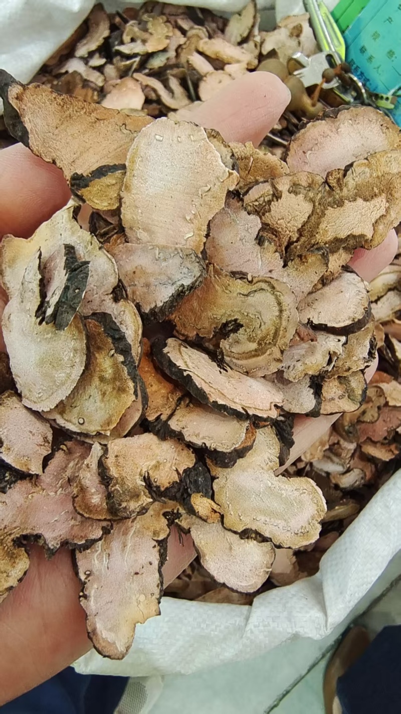 拳参地道药材2斤包邮量大优惠
