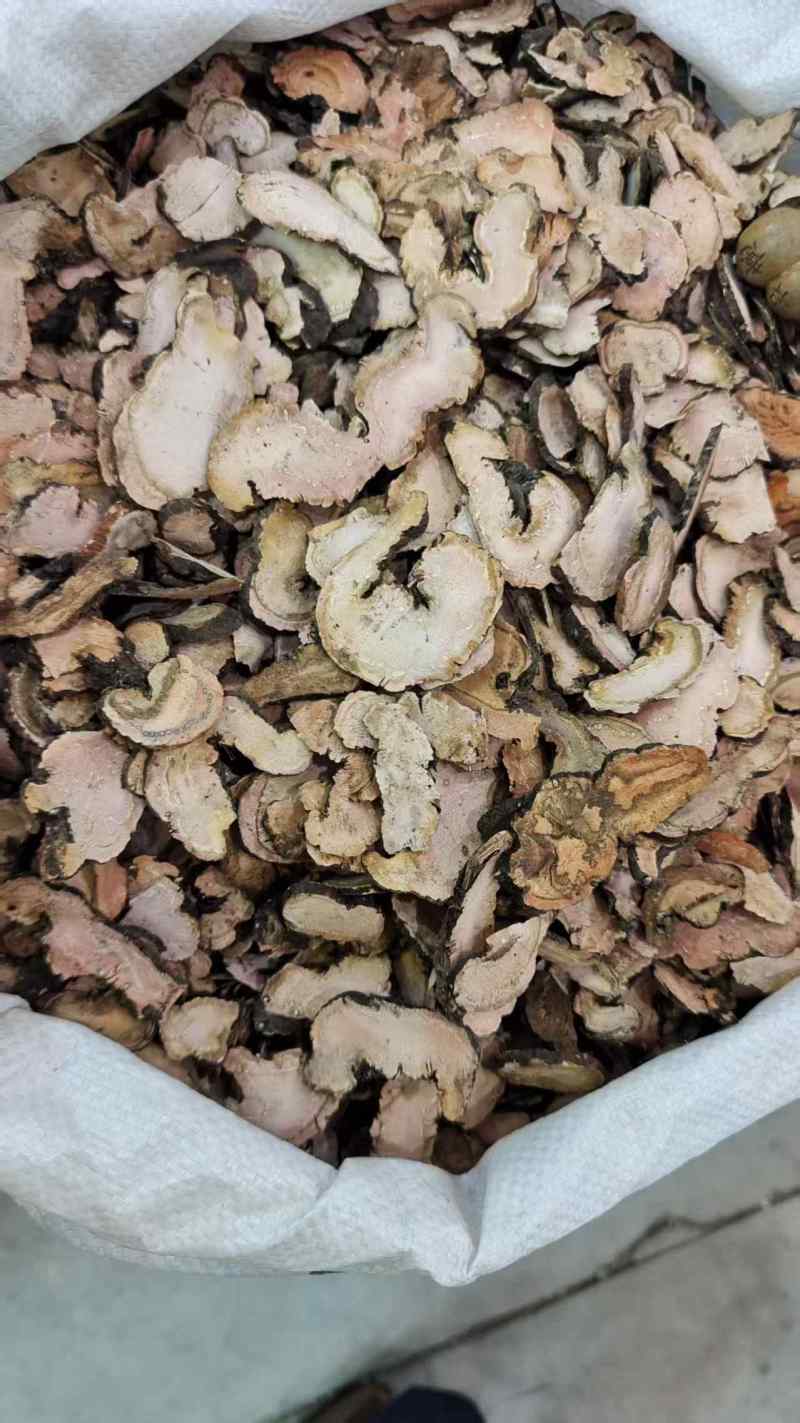 拳参地道药材2斤包邮量大优惠