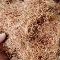 玉米须精选去黑头颜色好泡茶量大优惠