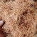 玉米须精选去黑头颜色好泡茶量大优惠