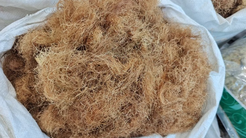 玉米须精选去黑头颜色好泡茶量大优惠