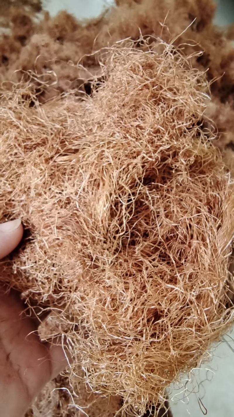 玉米须精选去黑头颜色好泡茶量大优惠
