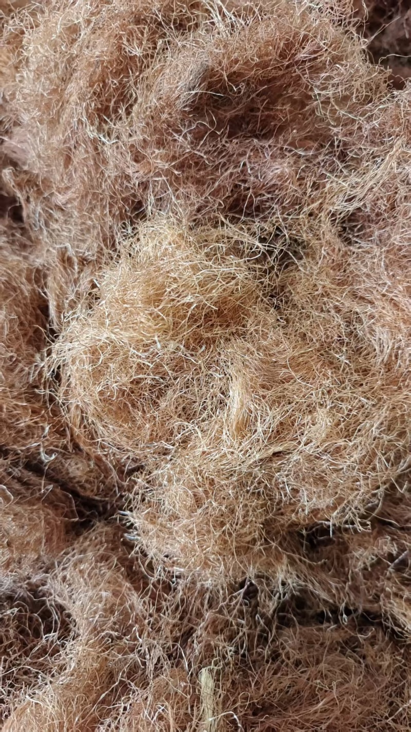 玉米须精选去黑头颜色好泡茶量大优惠