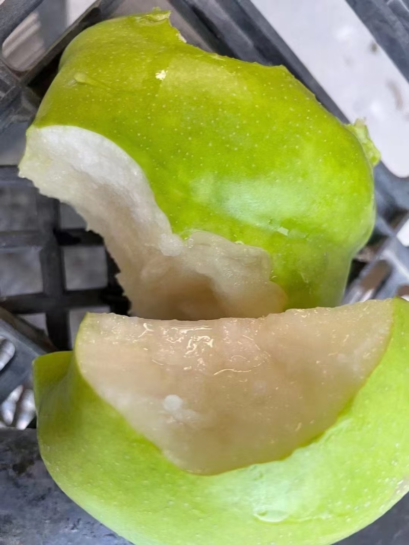 酥脆一号梨，口感脆甜无渣。果面干净货源充足产地代发。