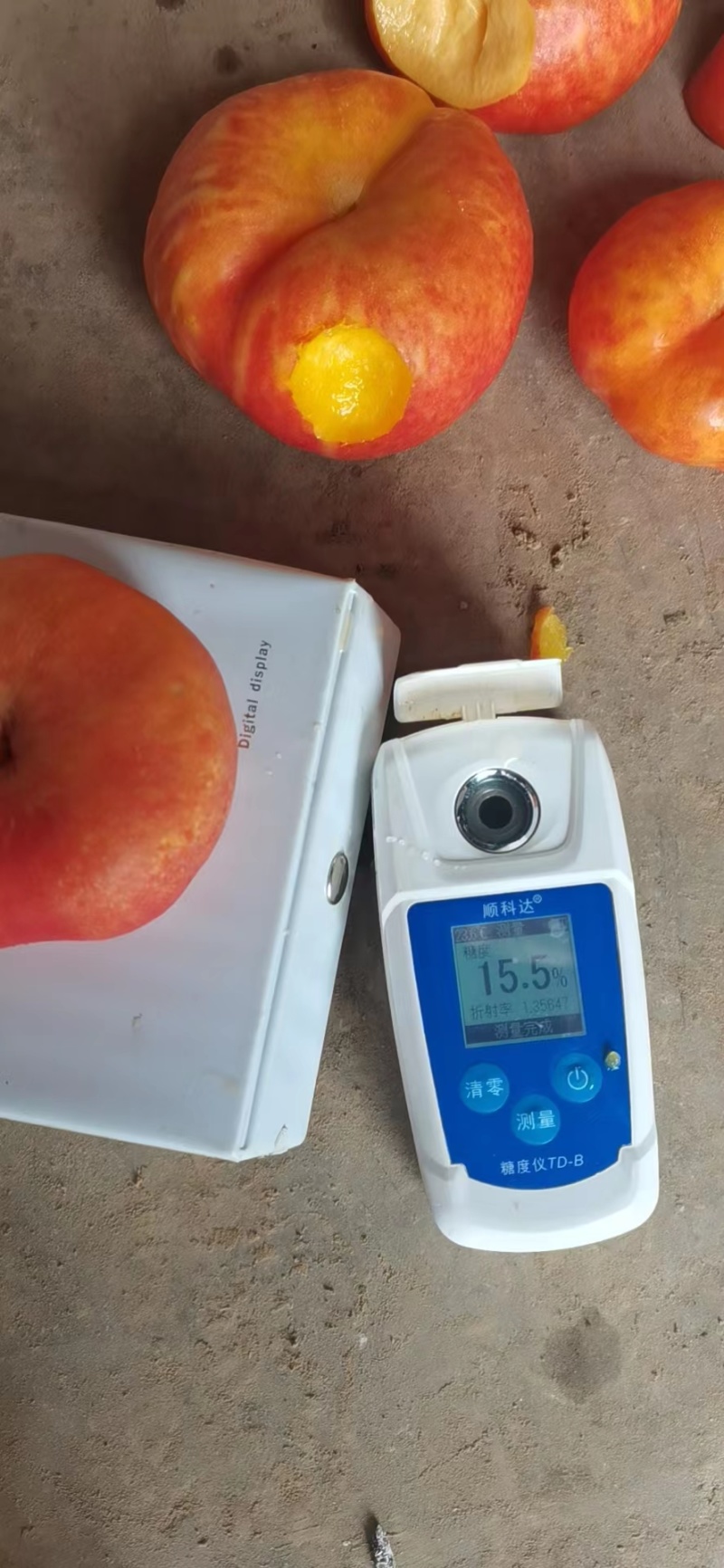 一年吃两个月的彩虹蟠桃抓紧时间哦，支持一件代发来