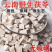 正宗野生茯苓中药材云南深山野生茯苓丁茯苓块泡水正品泡茶