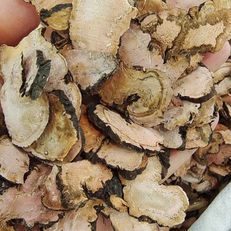 拳参也叫紫参含量高干货切片量大从优