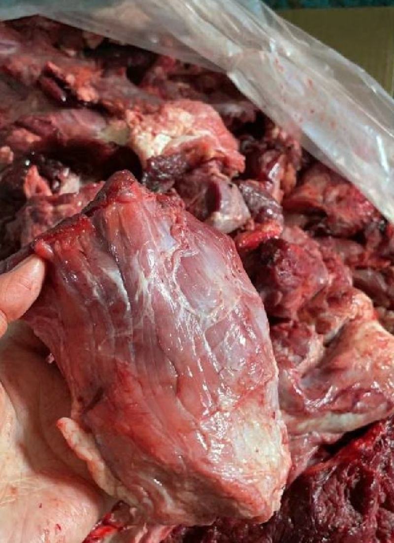 山东精品新鲜牛坠肉厂家一手货源批发品质保证价格优惠