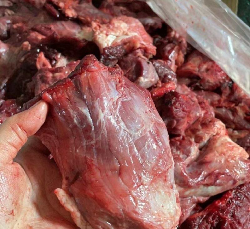 山东精品新鲜牛坠肉厂家一手货源批发品质保证价格优惠