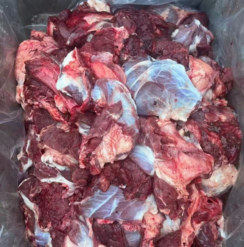 山东精品新鲜牛坠肉厂家一手货源批发品质保证价格优惠