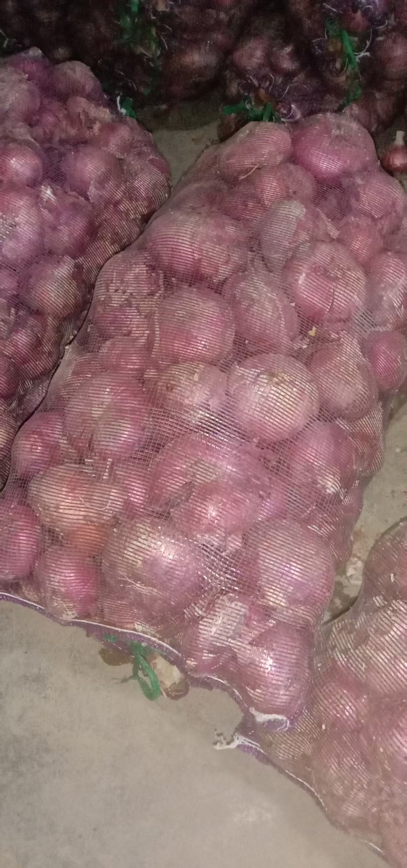 安徽二红洋葱产地大量上市，一手货源质量保证，视频看货