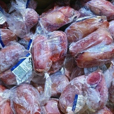 山东鼎盛食品供应黄心牛宝一手货源批发质量保证价格便宜