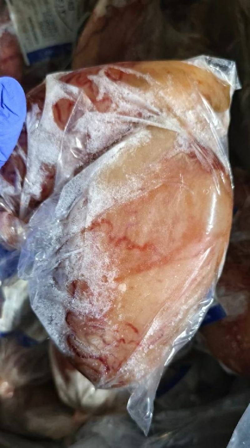 山东鼎盛食品供应黄心牛宝一手货源批发质量保证价格便宜