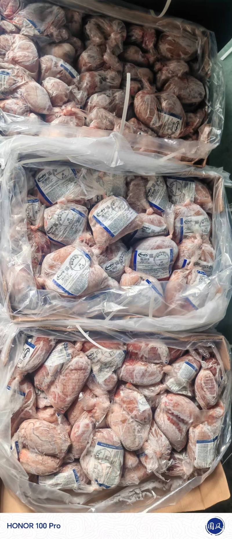 山东鼎盛食品供应黄心牛宝一手货源批发质量保证价格便宜