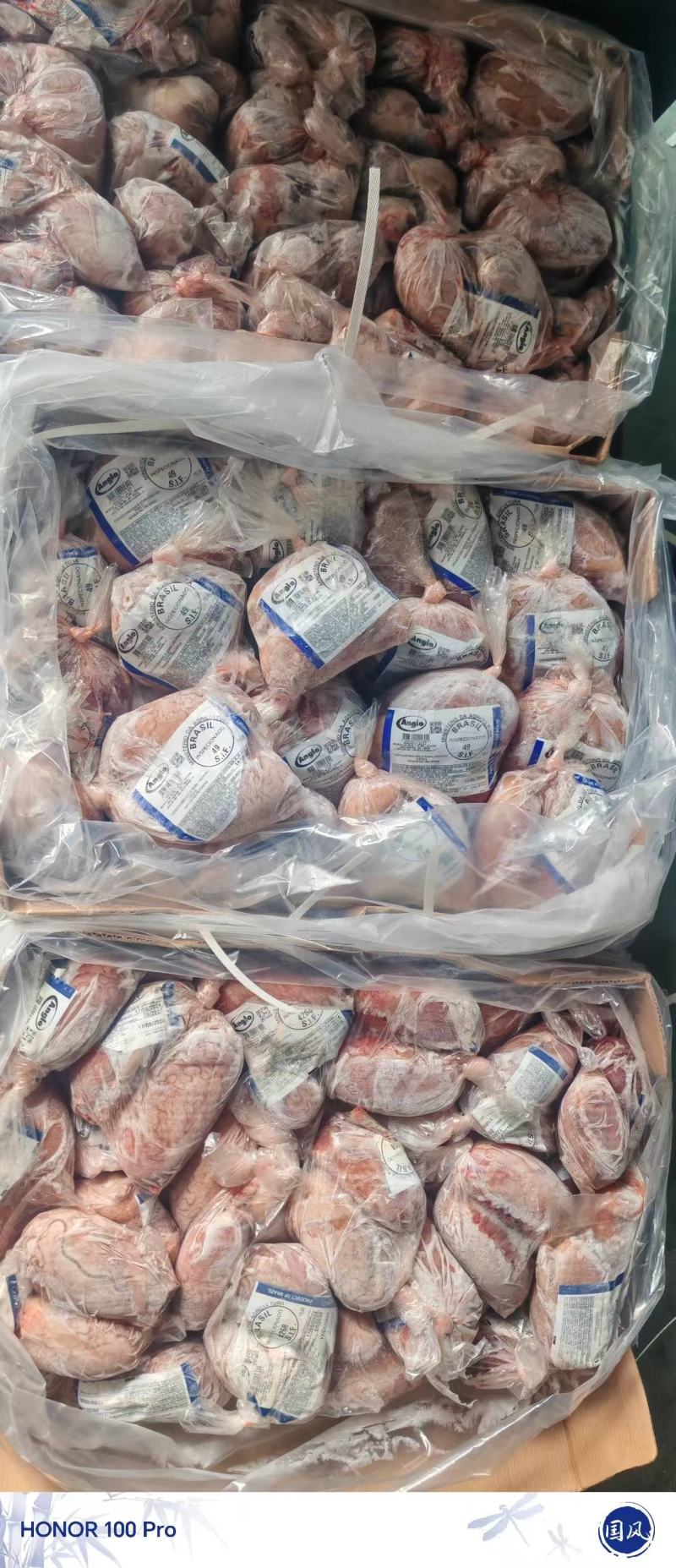 山东鼎盛食品供应黄心牛宝一手货源批发质量保证价格便宜