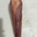 山东鼎盛食品精品雪花牛舌厂家发货质量保证价格美丽全国发货