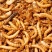 【实力】山东菏泽黄粉虫虫皮做饲料的好帮手可视频看货