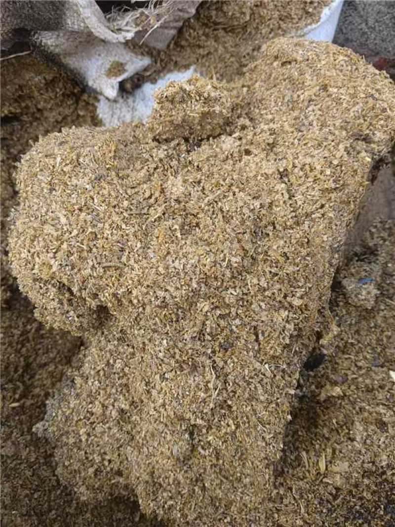 【实力】山东菏泽精品黄粉虫虫皮产地直发量大从优可视频看货