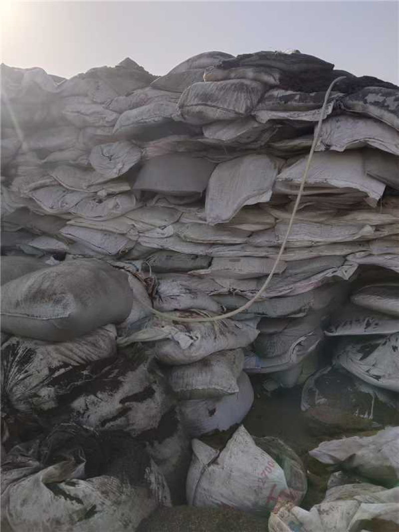 【实力】山东菏泽精品黄粉虫虫皮产地直发量大从优可视频看货