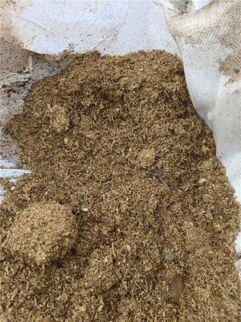 【实力】山东菏泽精品黄粉虫虫皮产地直发量大从优可视频看货