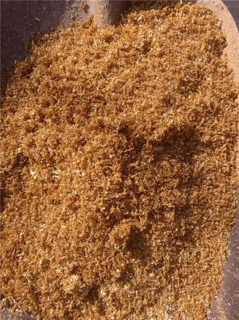 【实力】山东菏泽精品黄粉虫虫皮产地直发量大从优可视频看货
