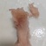 山东鼎盛食品熟牛主筋厂家一手货源批发品质保证价格美丽