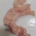 山东鼎盛食品熟牛主筋厂家一手货源批发品质保证价格美丽