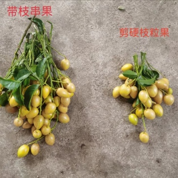 鸡心黄皮