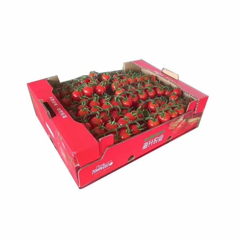 串串番茄🍅只做精品货