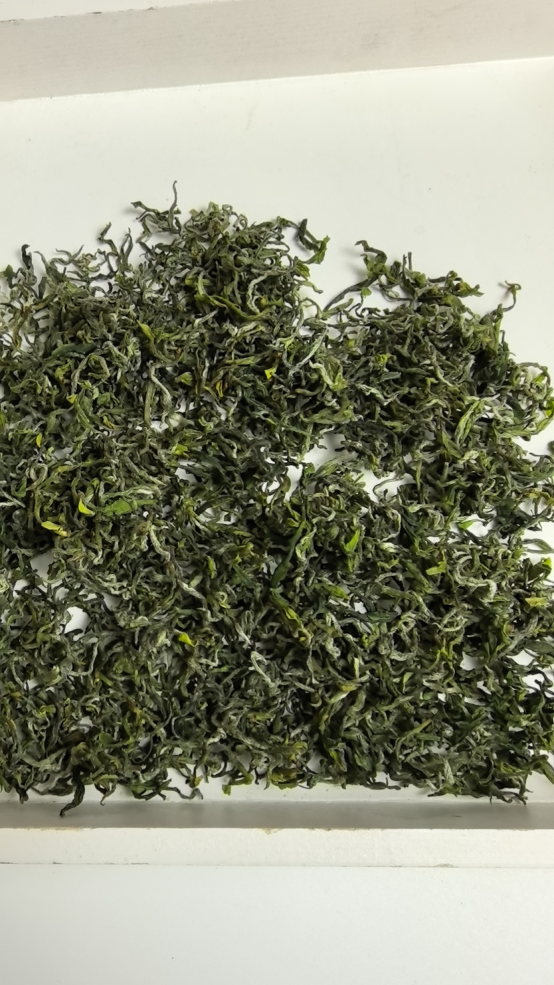 黄山毛峰各档次都有