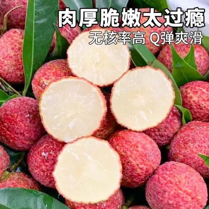 【精品礼盒】顺丰无核荔枝新鲜当季水果广东直发净重3/4斤整