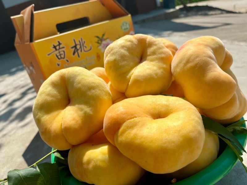黄桃