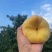 黄桃
