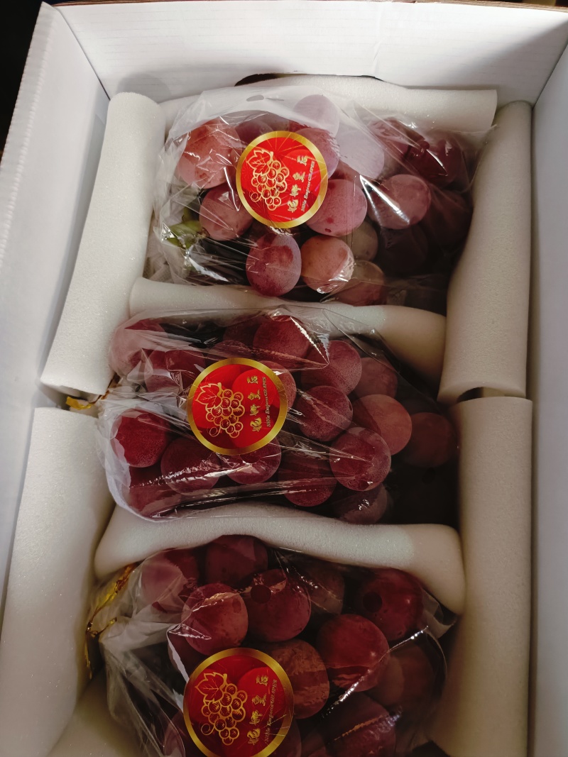 妮娜皇后