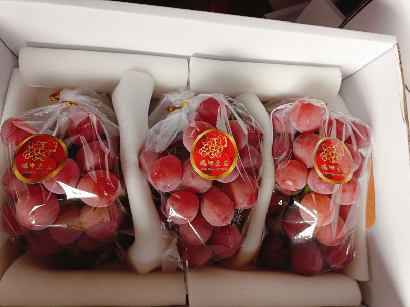 妮娜皇后