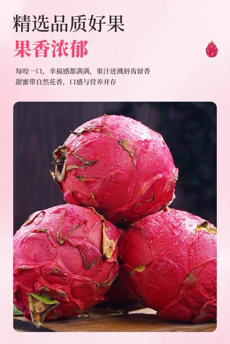 广西红心火龙果5斤新鲜当季水果金都一号火龙果产地直发