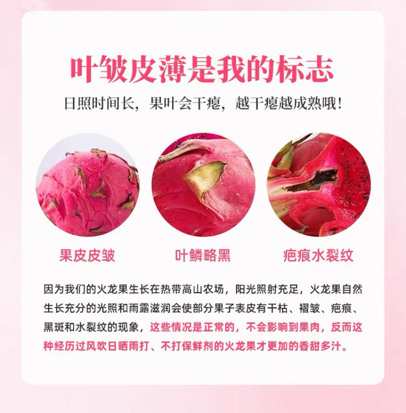 广西红心火龙果5斤新鲜当季水果金都一号火龙果产地直发