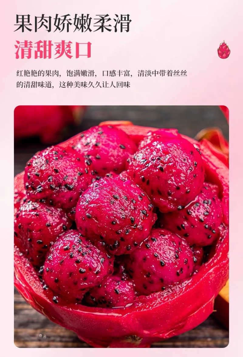 广西红心火龙果5斤新鲜当季水果金都一号火龙果产地直发