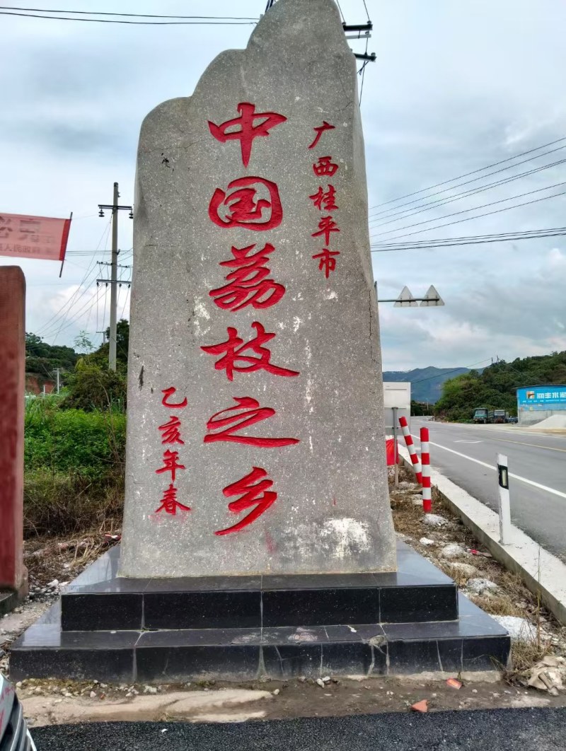 准备上市，只做代办，提供场地，联络果源！