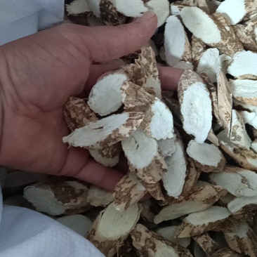 仿野生牛大力中牛切片干粉质无硫精品