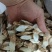 仿野生牛大力中牛切片干粉质无硫精品