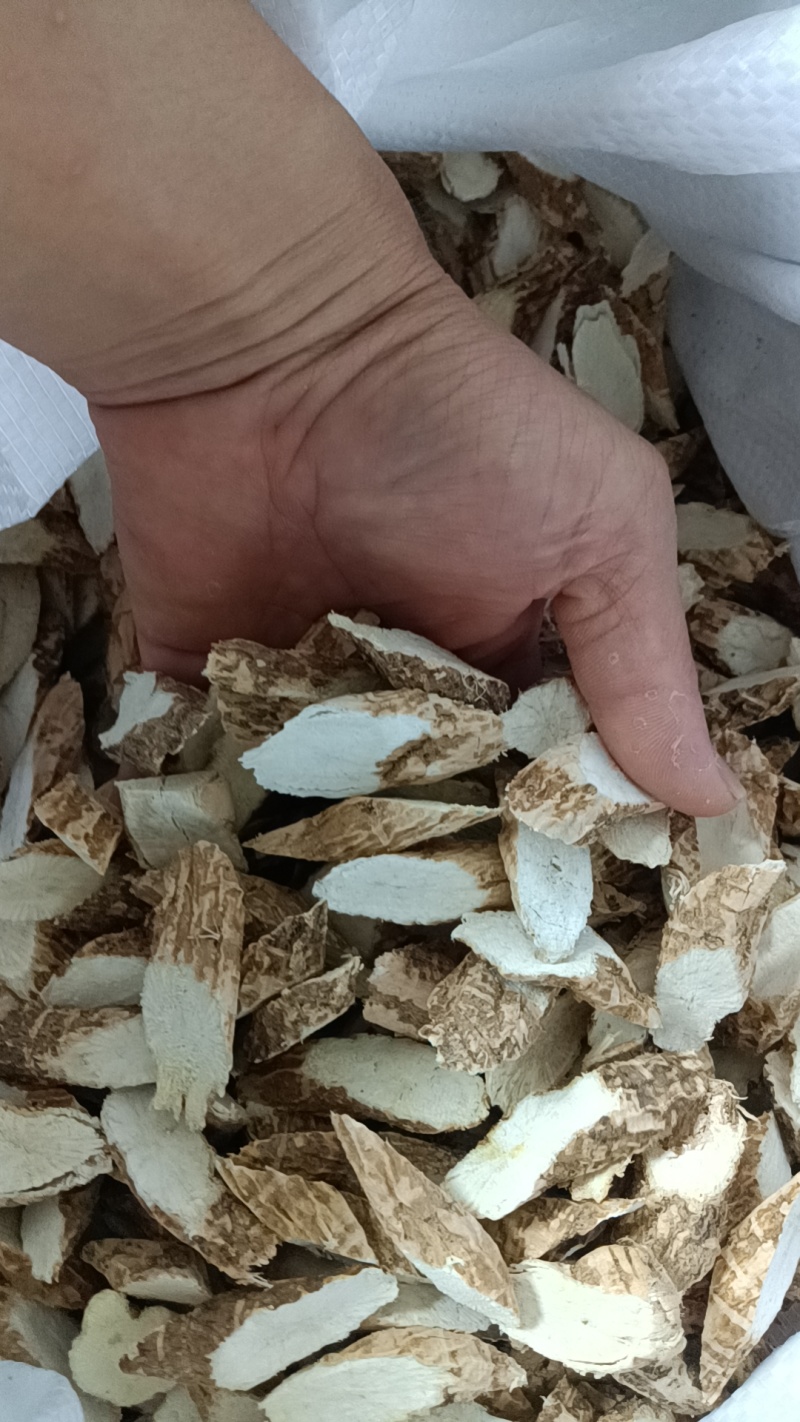 仿野生牛大力中牛切片干粉质无硫精品