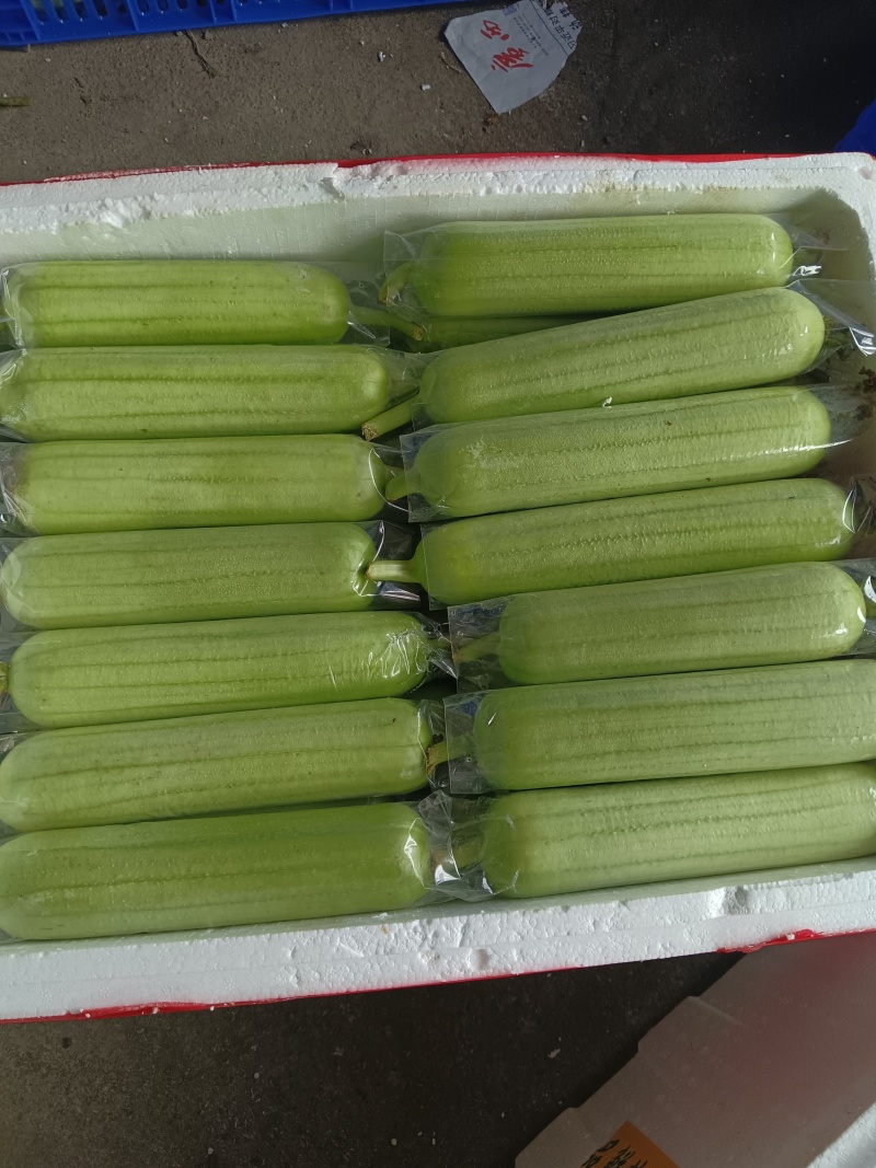 各类精品蔬菜下个月上市