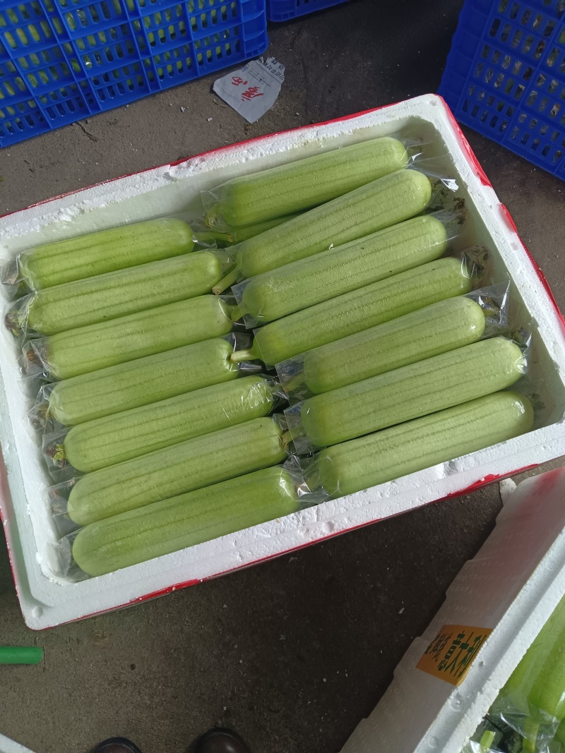 各类精品蔬菜下个月上市