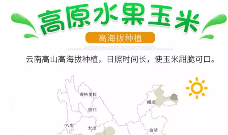 云南金银水果玉米新鲜生吃水果玉米棒子甜糯产地直发包邮