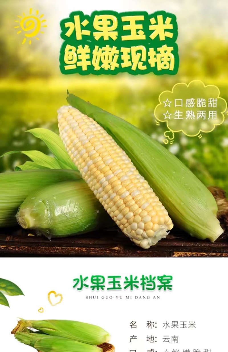 云南金银水果玉米新鲜生吃水果玉米棒子甜糯产地直发包邮