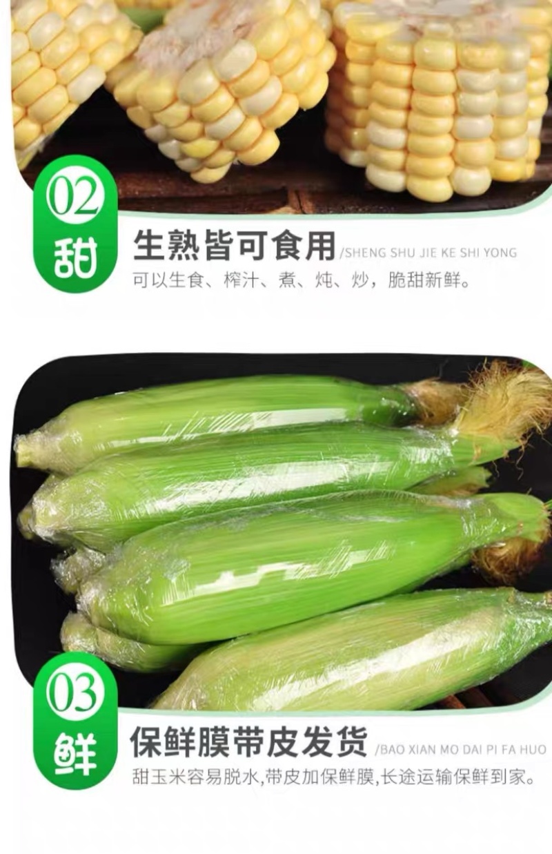 云南金银水果玉米新鲜生吃水果玉米棒子甜糯产地直发包邮